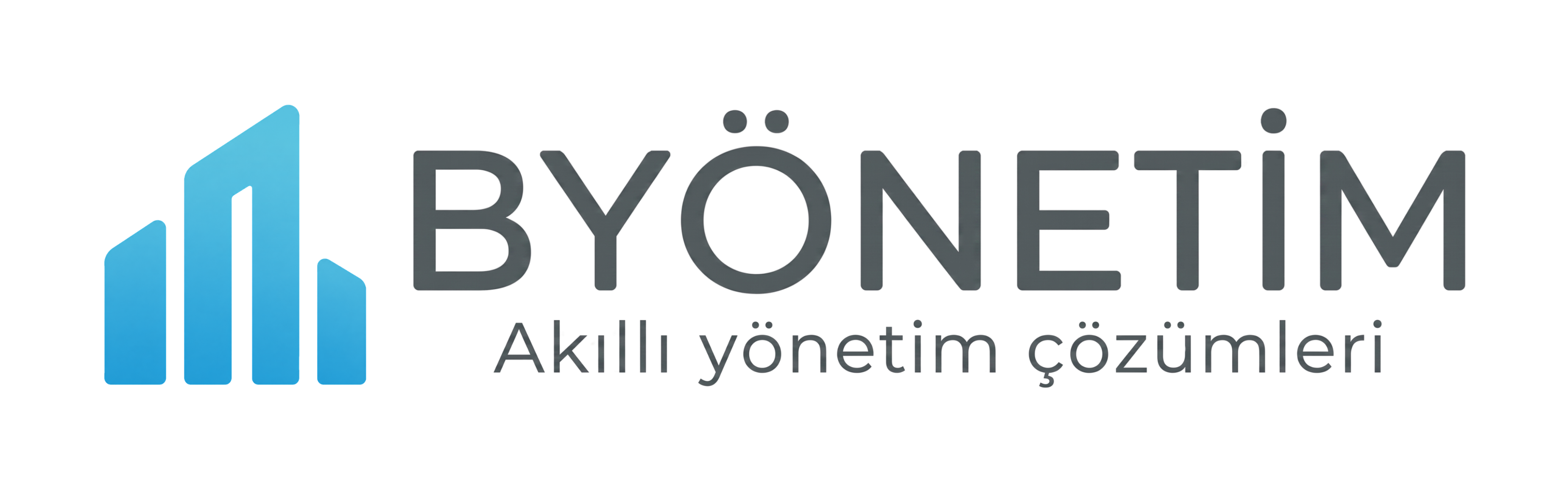 BYönetim